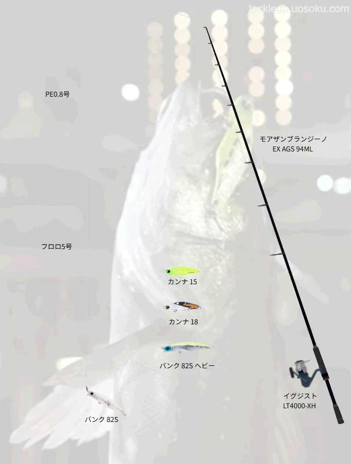 厳寒期の都市型河川（隅田川）におけるシーバス攻略