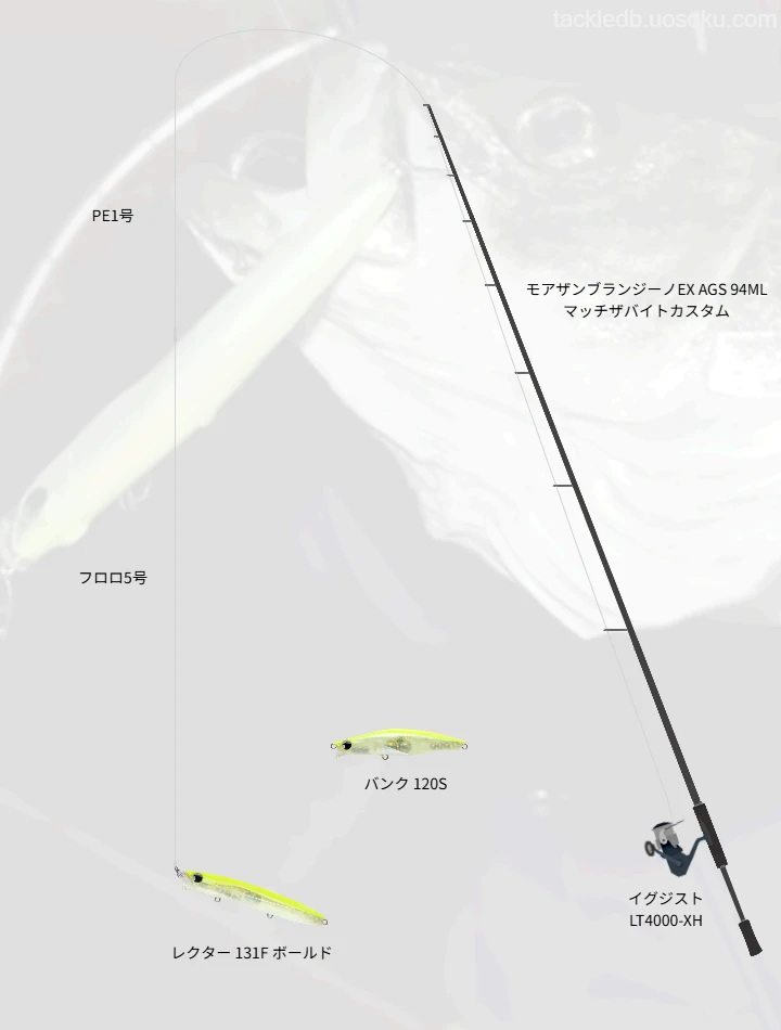 ショアシーバスのタックル！人気のロッドやリール,ルアーについて | 魚