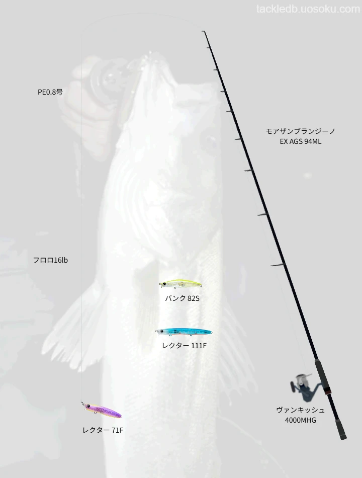 レクターで攻略する浜名湖マイクロベイトパターン
