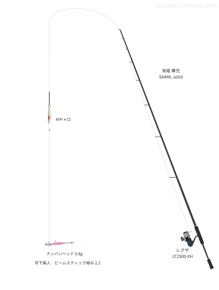 アジングに関するタックル、仕掛け図解