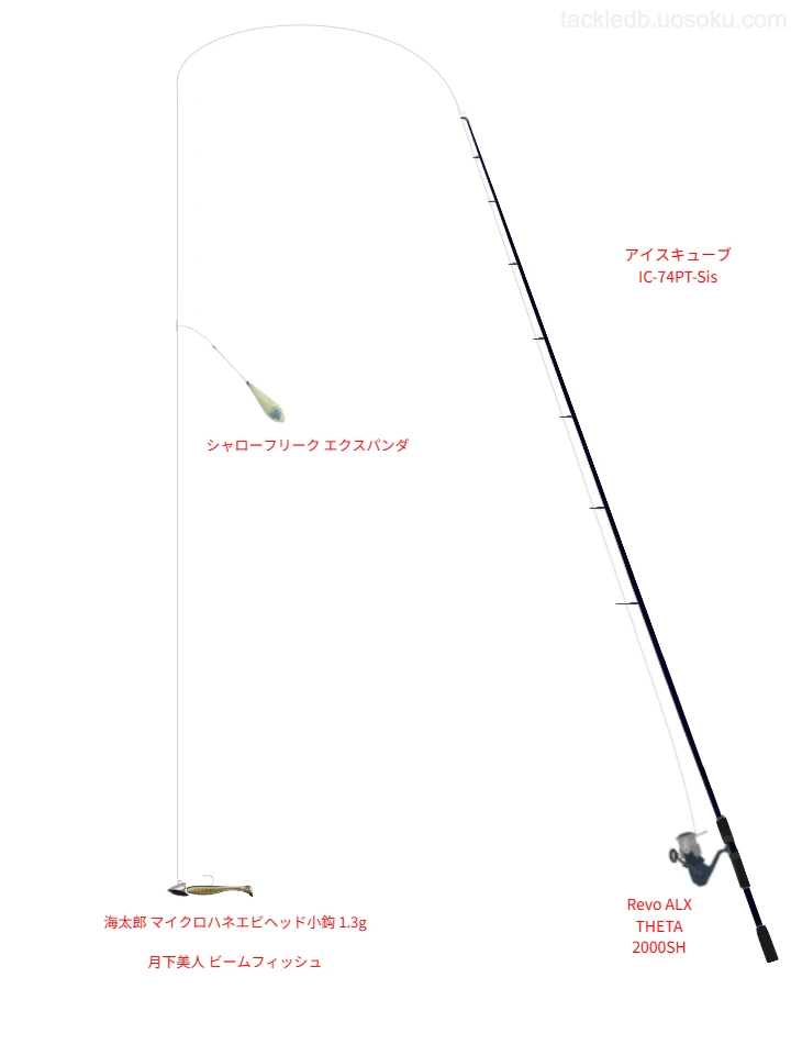 アイスキューブ IC-74PT-Sisとアブガルシアのリールで月下美人 ビームフィッシュフロートリグを使用するタックル