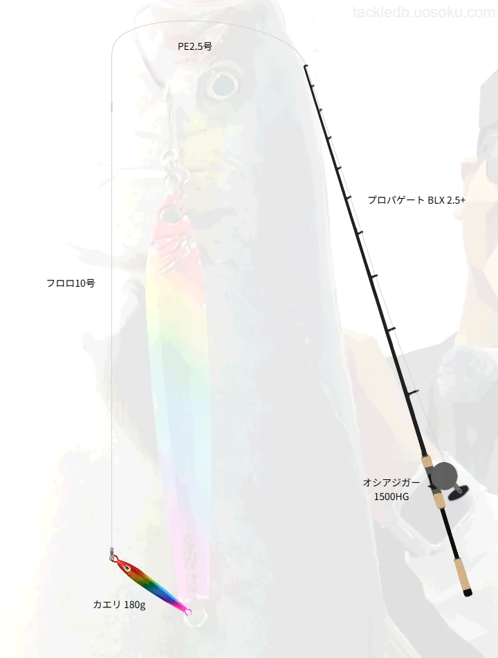 ジギング×ヒラマサのタックル情報 | 魚速タックルDB