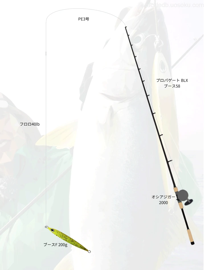 ヒラマサ釣りのタックル！使われるロッドやルアー,仕掛けについて | 魚