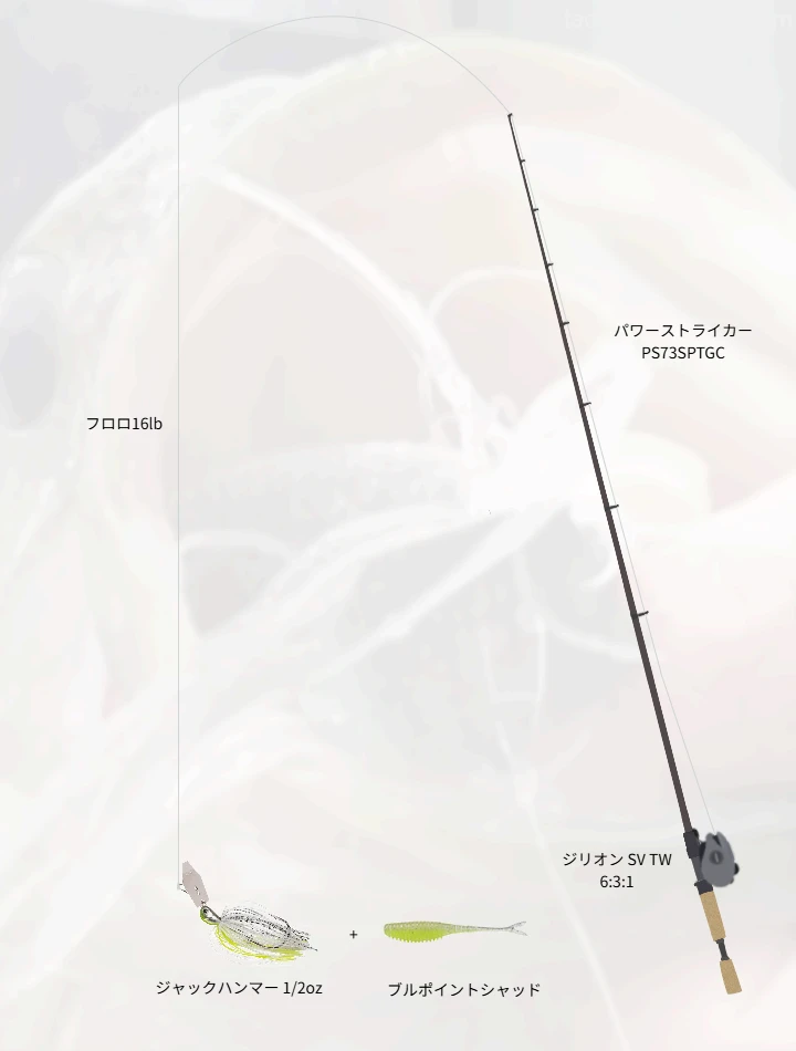 バス釣りに関するタックル、仕掛け図解