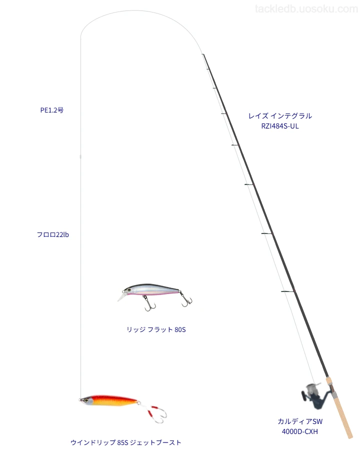 ピットブル 12 1.2号とシーバス ショックリーダー フロロカーボン 22lbを使用したトラウトタックル【レイズ インテグラル RZI484S-UL】