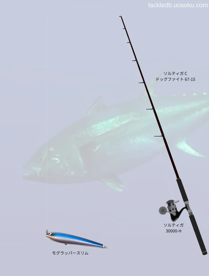 マグロ釣りのタックル！使われるロッドやルアー,仕掛けについて | 魚速