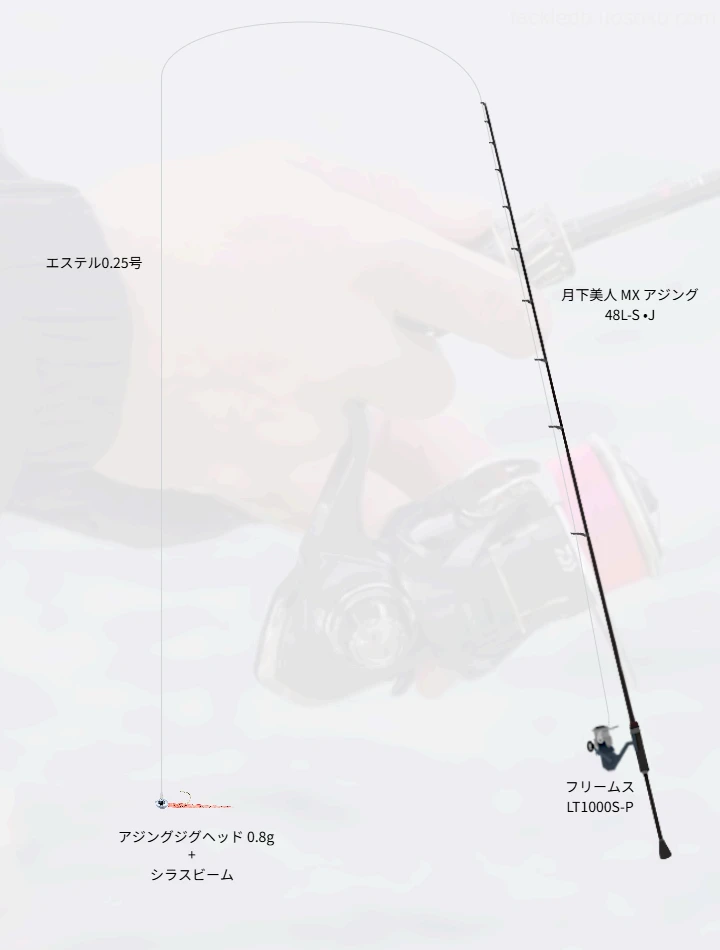 アジング×DAIWAのリールのタックル情報 | 魚速タックルDB