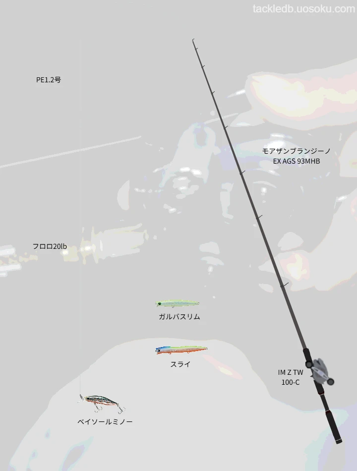 シーバス釣りで使用するIM Z TW100-Cのインプレッション