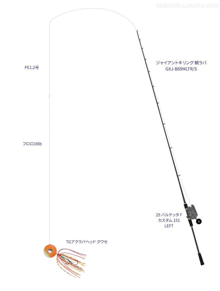 タイラバに関するタックル、仕掛け図解