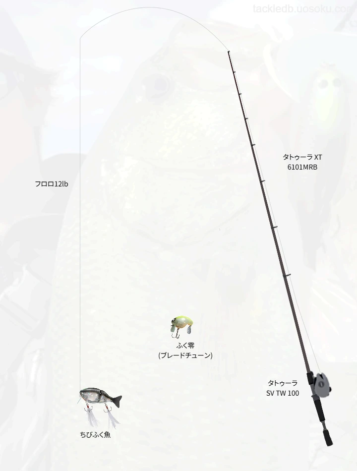ちびふく魚で攻略する柳川クリーク