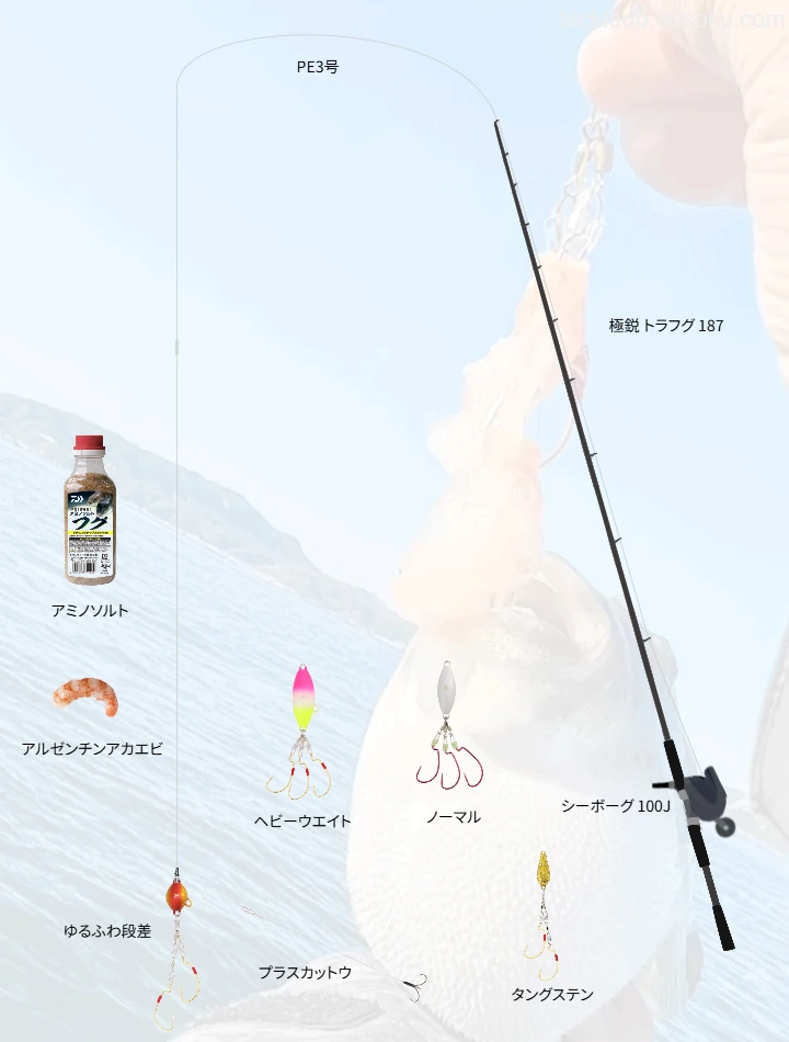 フグ釣りのタックル！人気のロッドやリール,仕掛けについて | 魚速