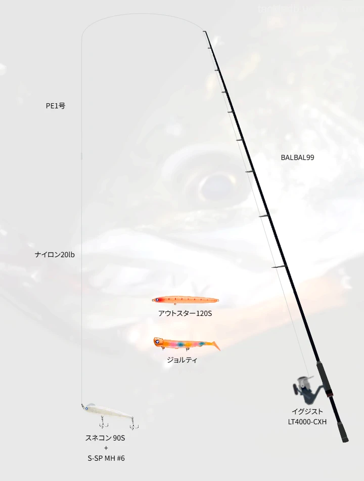シーバス釣りのタックル!使われるロッドやルアー,仕掛けについて | 魚 シーバス釣りのタックル!使われるロッドやルアー,仕掛けについて | 魚