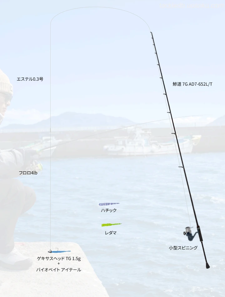 鯵道 7Gで行うデイアジング