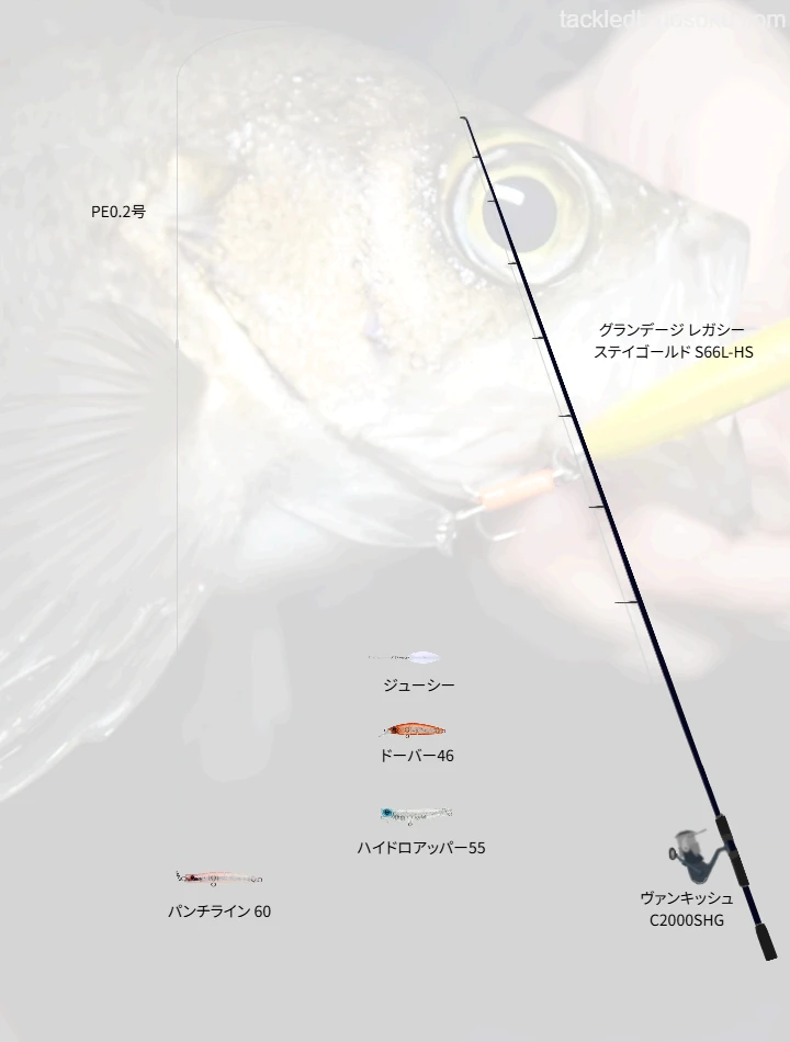 アピアのプラグ+ジューシーによるメバリング