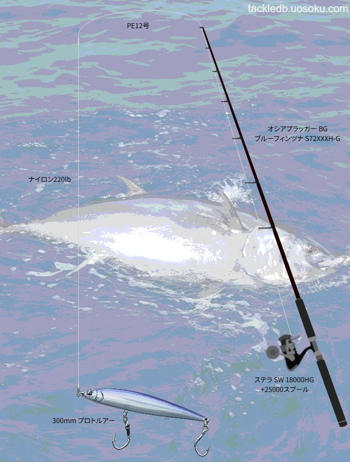 クロマグロとの対峙における26ステラSWのインプレッション