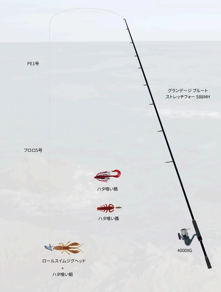 ハタ喰い蝦・鵺・蟲で攻略する庄内地磯のキジハタ