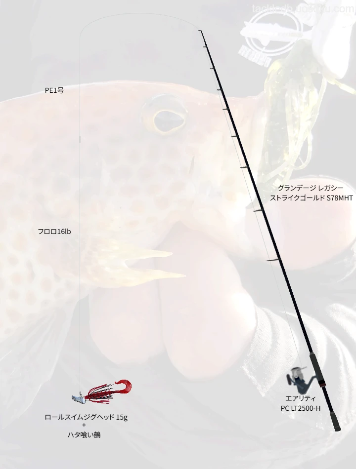 ロールスイムジグヘッドによる根魚攻略