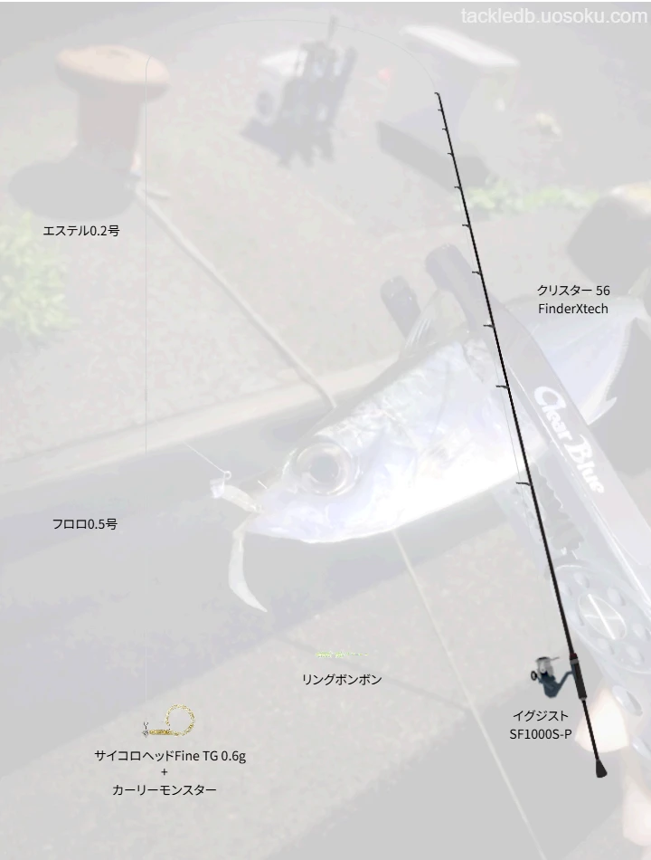 本岡利將のタックル！使用ロッドやリール,ルアーについて | 魚速タックルDB