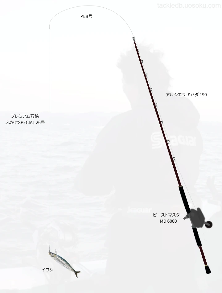 アルシエラ使用タックル！インプレ及び合うリールや仕掛けについて