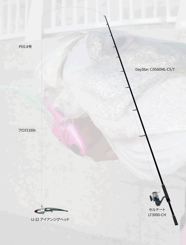 ショアシーバスのタックル！人気のロッドやリール,ルアーについて | 魚