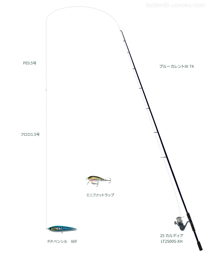 【稲取港】PALMSのP.P.ペンシル60Fの仮想使用におけるインプレッション