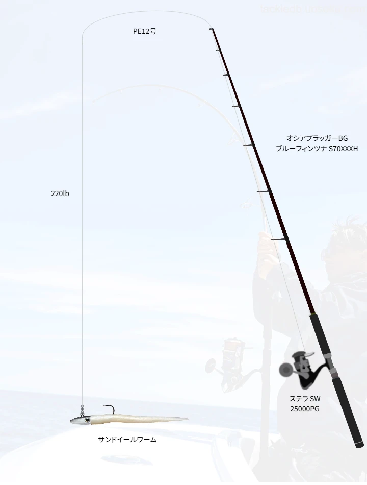 クロマグロとの対峙におけるステラ SW 25000PGのインプレッション