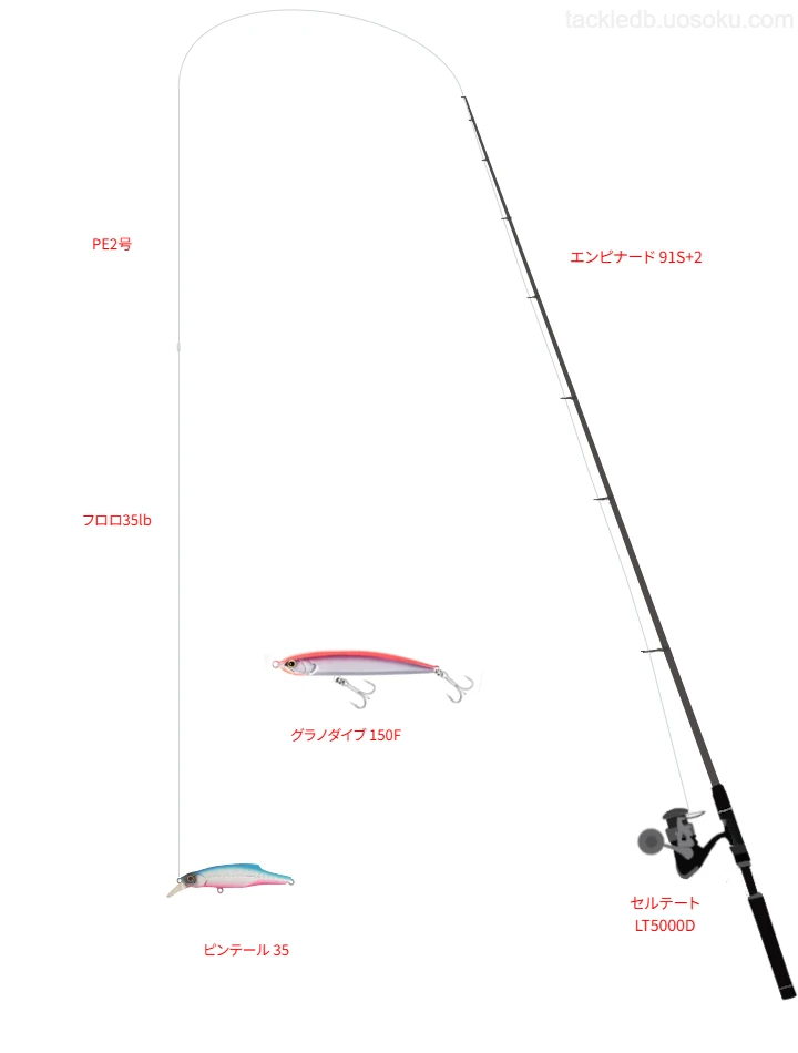 ピンテール 35のためのヒラスズキタックル【七里御浜】