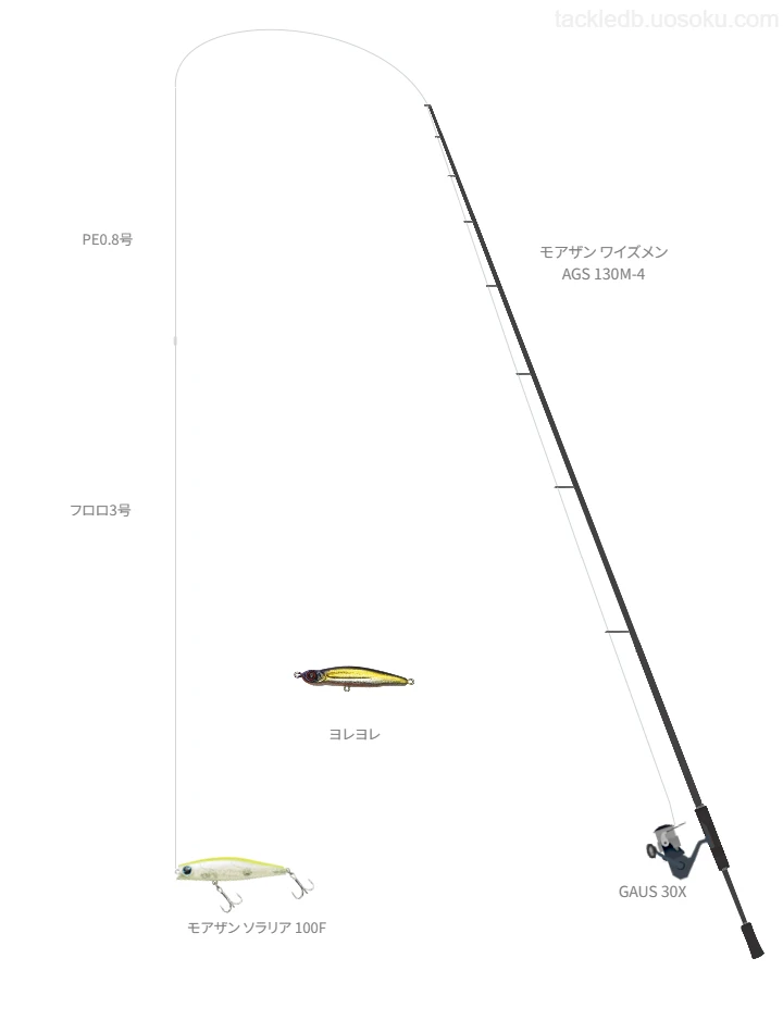 【イカトリバエ】ソラリア 100Fを使うヒラスズキタックル【モアザン ワイズメン AGS 130M-4】