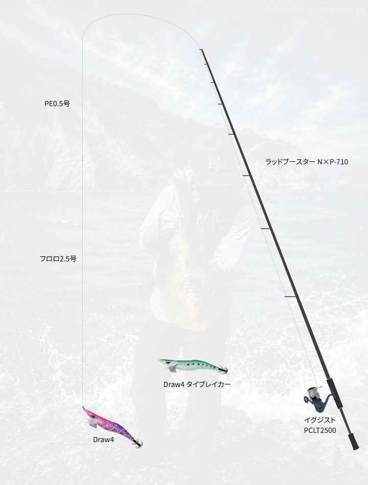 エギングのタックル！人気のロッドやリール,エギについて | 魚速タックルDB