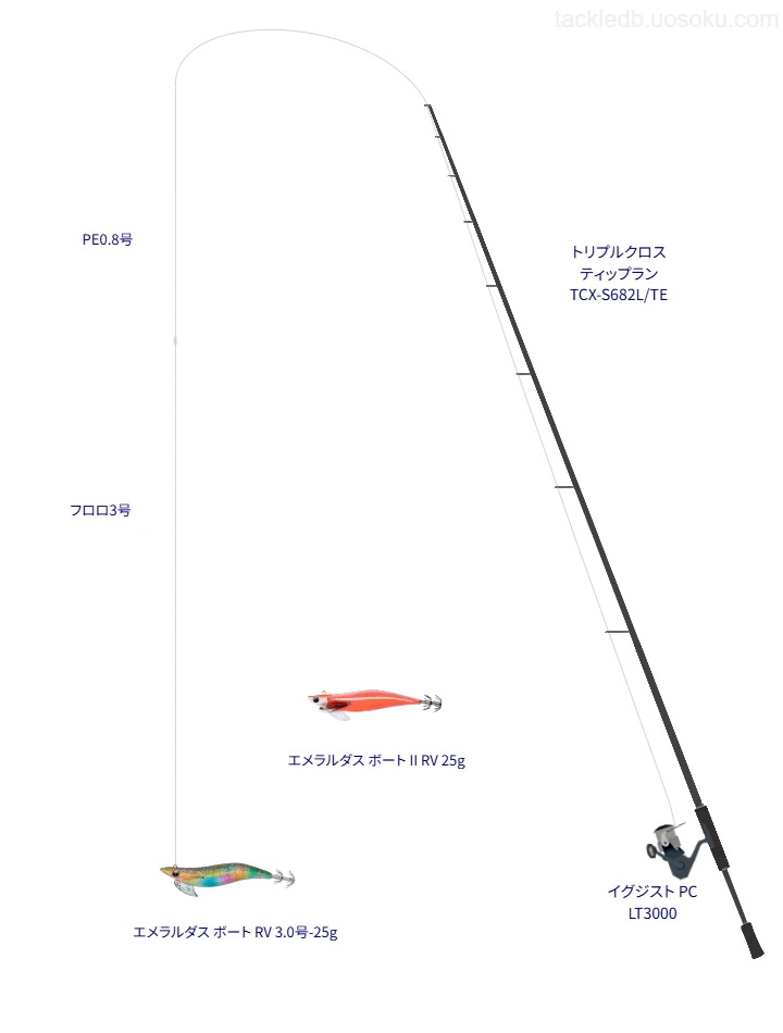 エメラルダス ボート RV 3.0号-25gのためのボートエギングタックル【伊勢湾】