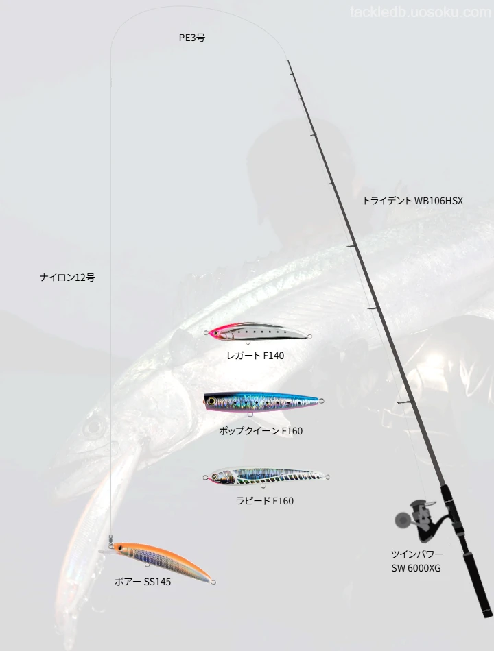 ボアーSS145で挑む中紀沖磯の青物