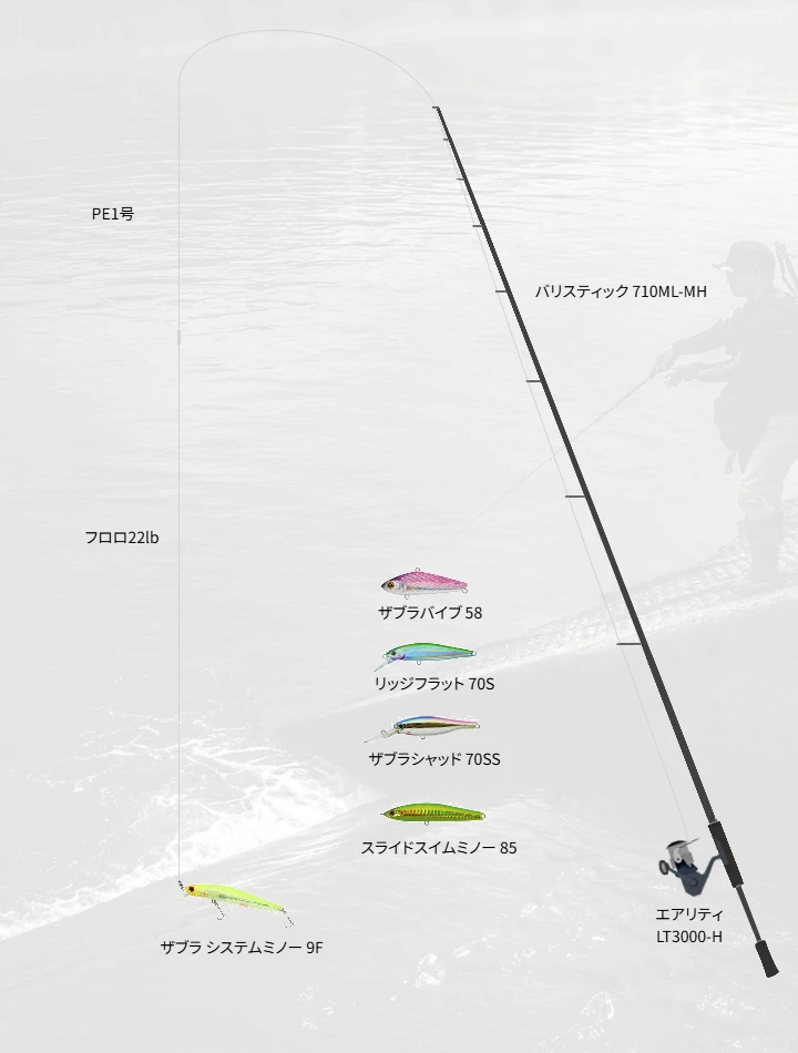 岸からのシーバス釣りにおける7フィート台のロッドという選択肢【バリスティック710ML-MH】