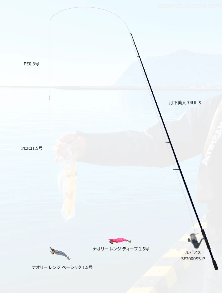 エギングに関するタックル、仕掛け図解