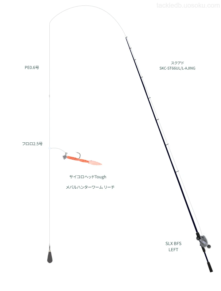 スローエモーションPEトリプルX4 0.6号とアバニ エギング プレミアム ショックリーダー ... 2.5号を使用したボートアジングタックル【スクアド SKC-ST66UL/L-AJING】