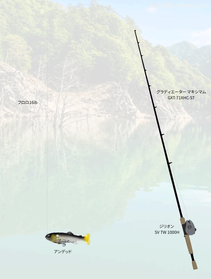 バス釣りに関するタックル、仕掛け図解