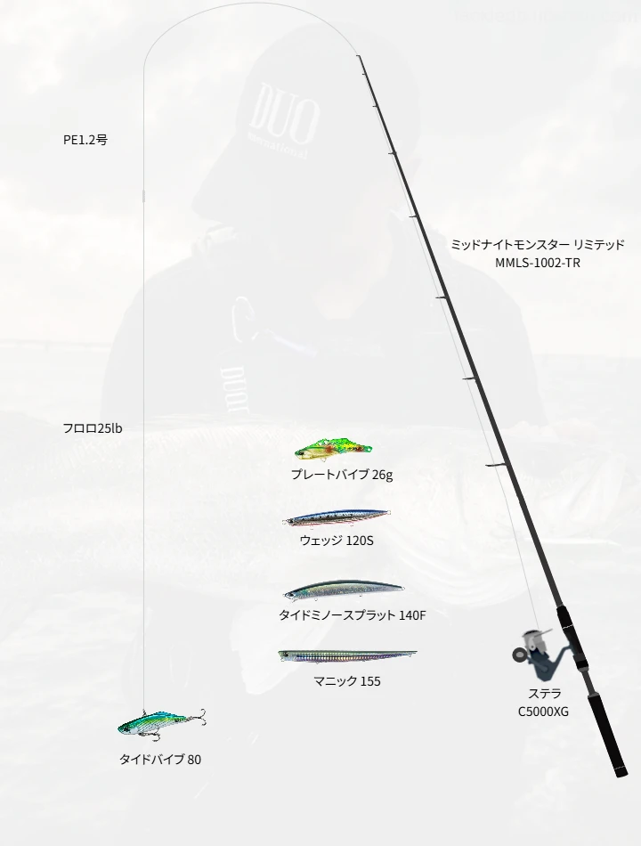 ショアシーバスに関するタックル、仕掛け図解