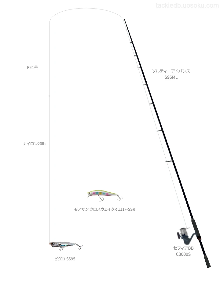 ショアシーバスに関するタックル、仕掛け図解