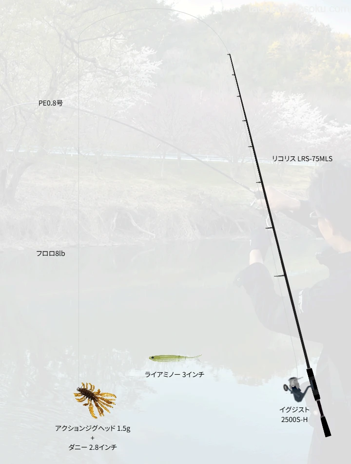 バス釣りに関するタックル、仕掛け図解