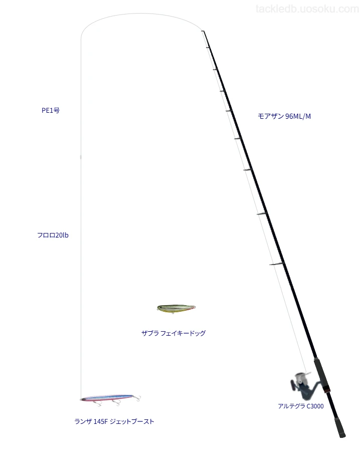 ショアシーバスに関するタックル、仕掛け図解