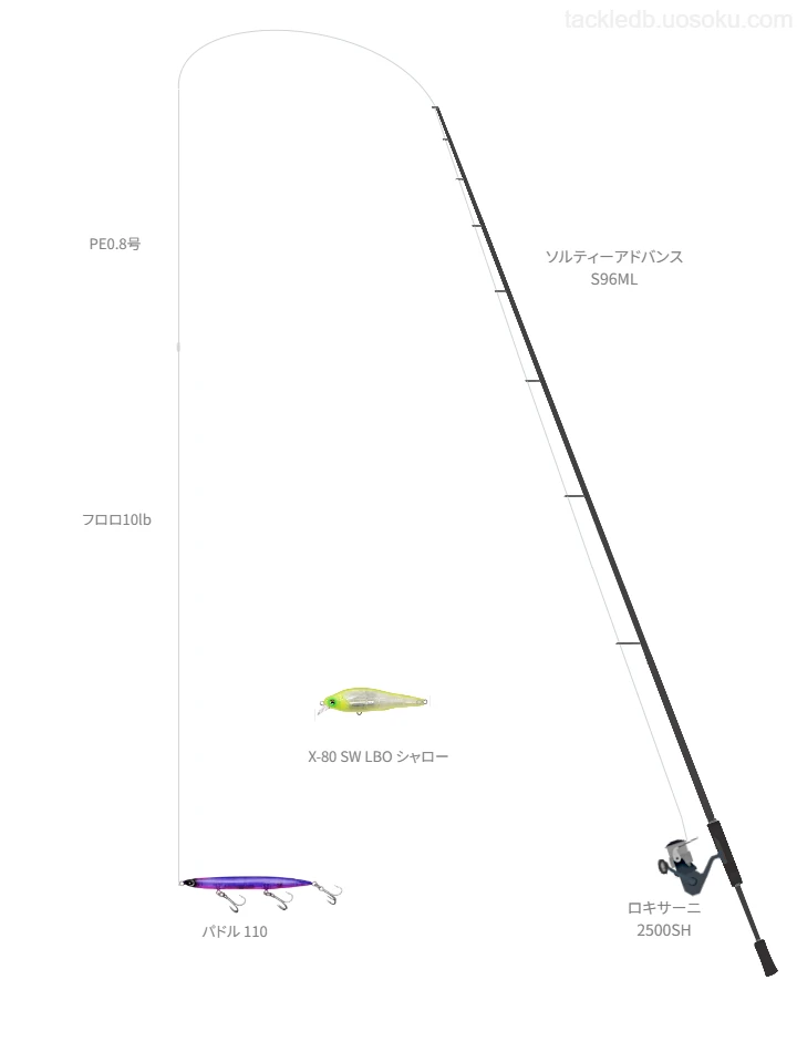 ショアシーバスに関するタックル、仕掛け図解