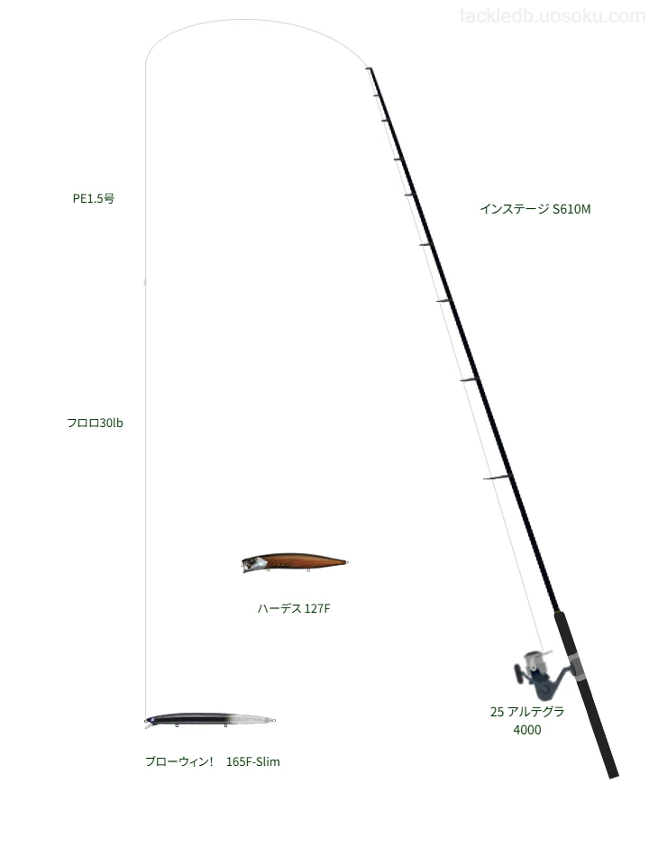 ブローウィン!165F-Slimのためのボートシーバスタックル【東京湾】