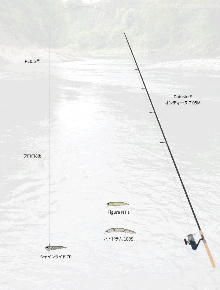 ネイティブトラウトに関するタックル、仕掛け図解
