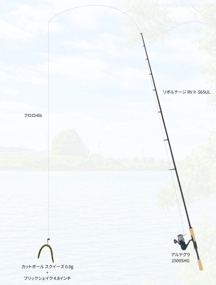 バス釣りに関するタックル、仕掛け図解