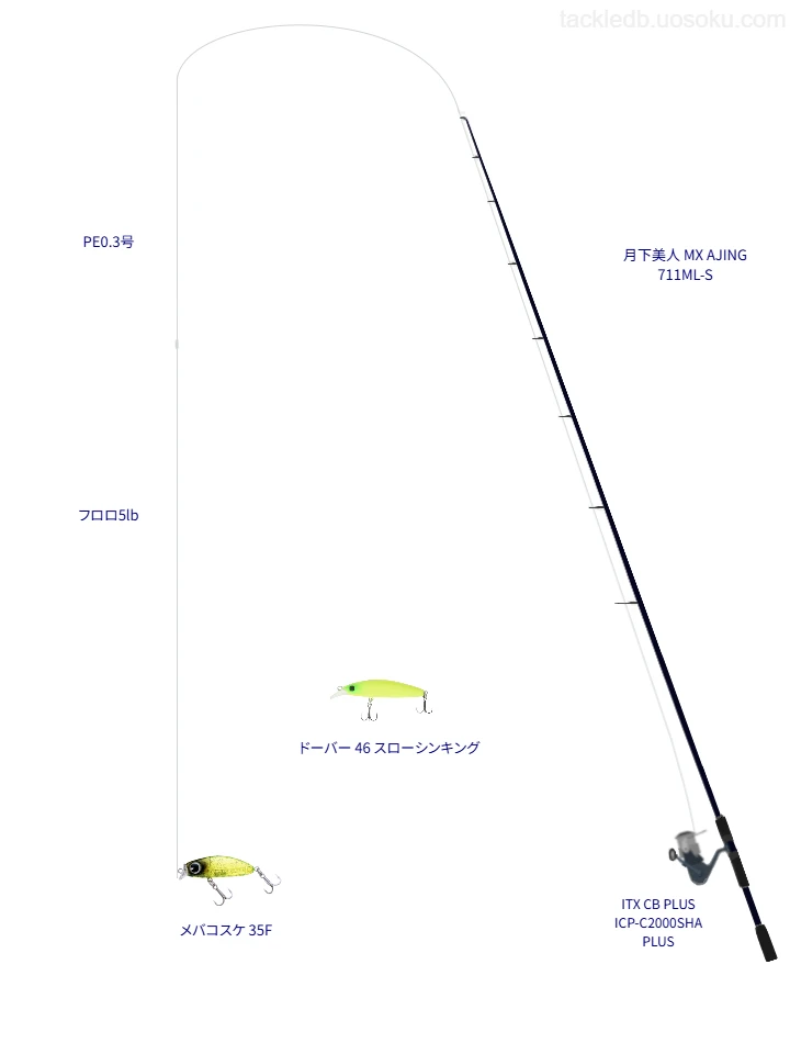 月下美人 MX AJING 711ML-Sを使用した最強アジングタックル【落ノ浦港】