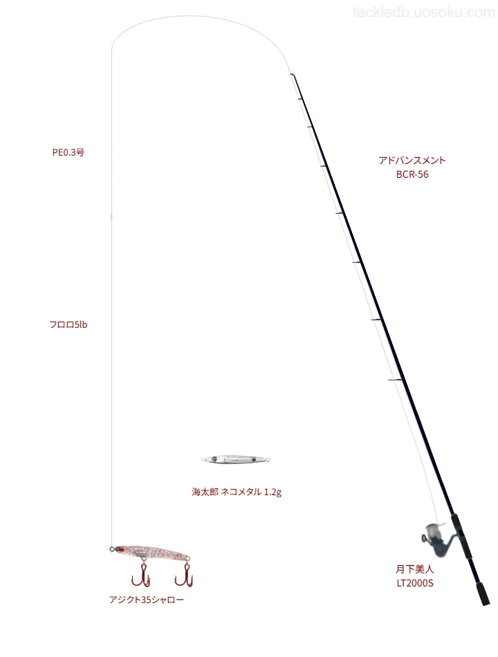 【長後漁港】アドバンスメント BCR-56の仮想使用におけるインプレッション