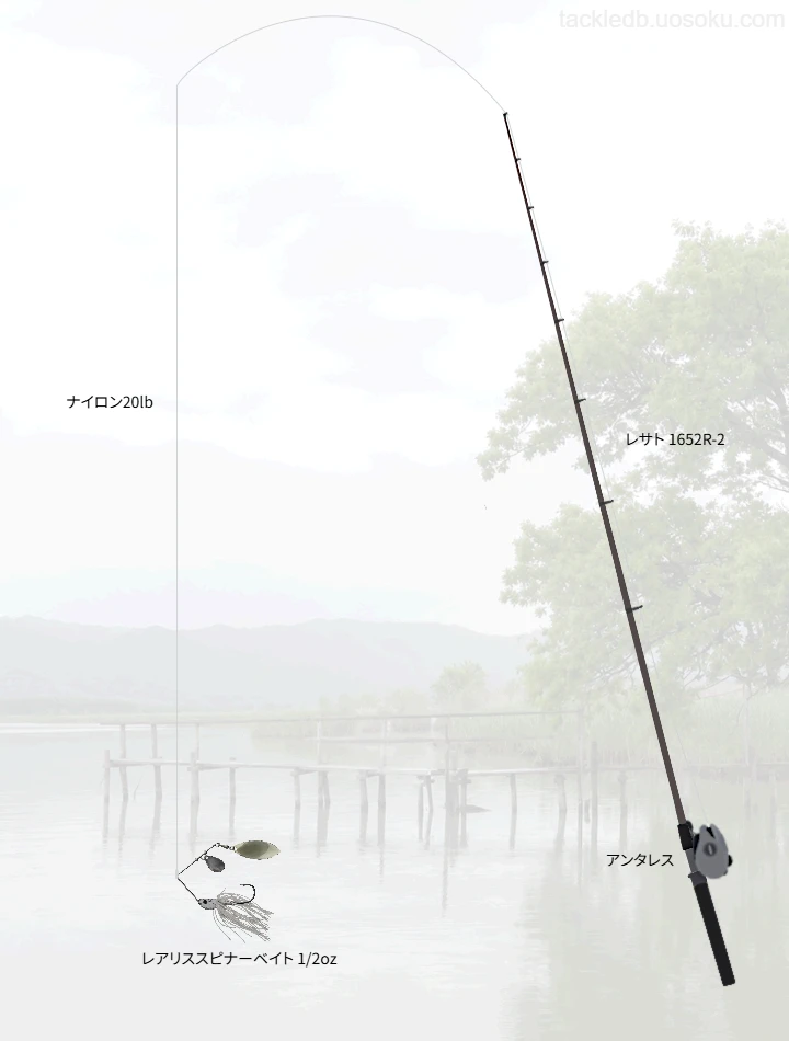 バス釣りに関するタックル、仕掛け図解