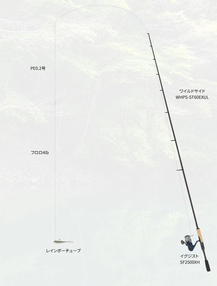 バス釣りに関するタックル、仕掛け図解