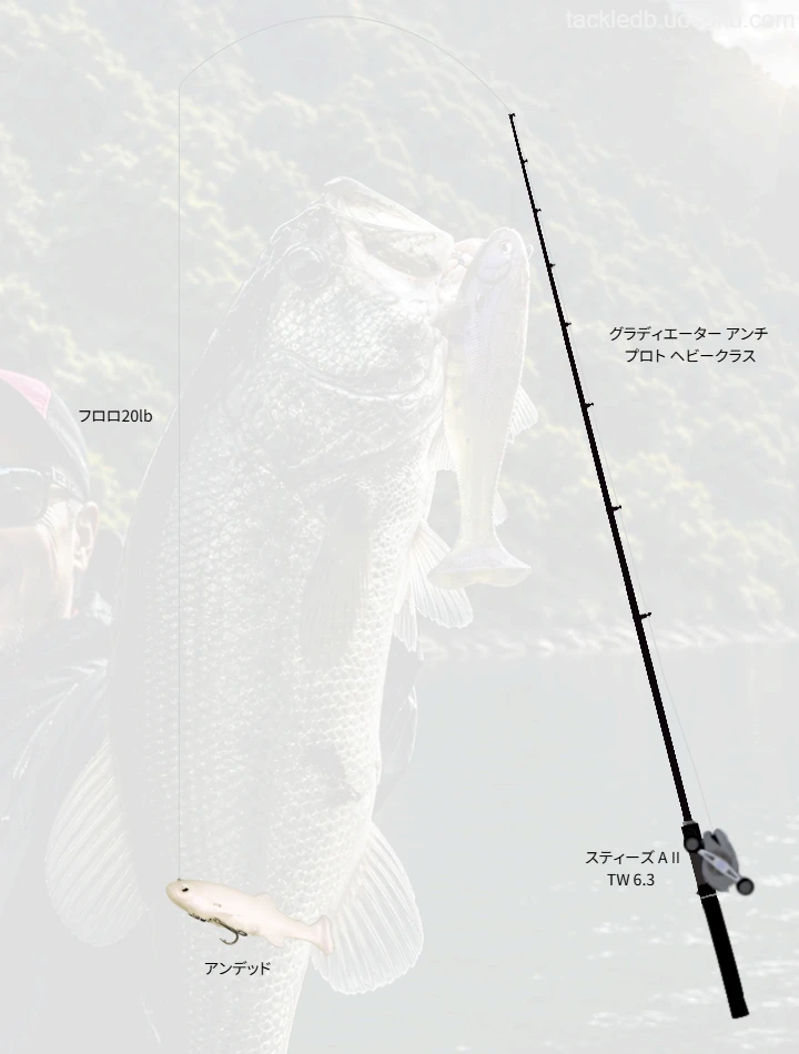 バス釣りに関するタックル、仕掛け図解