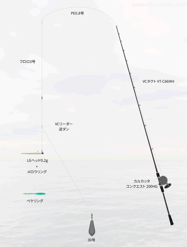 ボートアジングに関するタックル、仕掛け図解