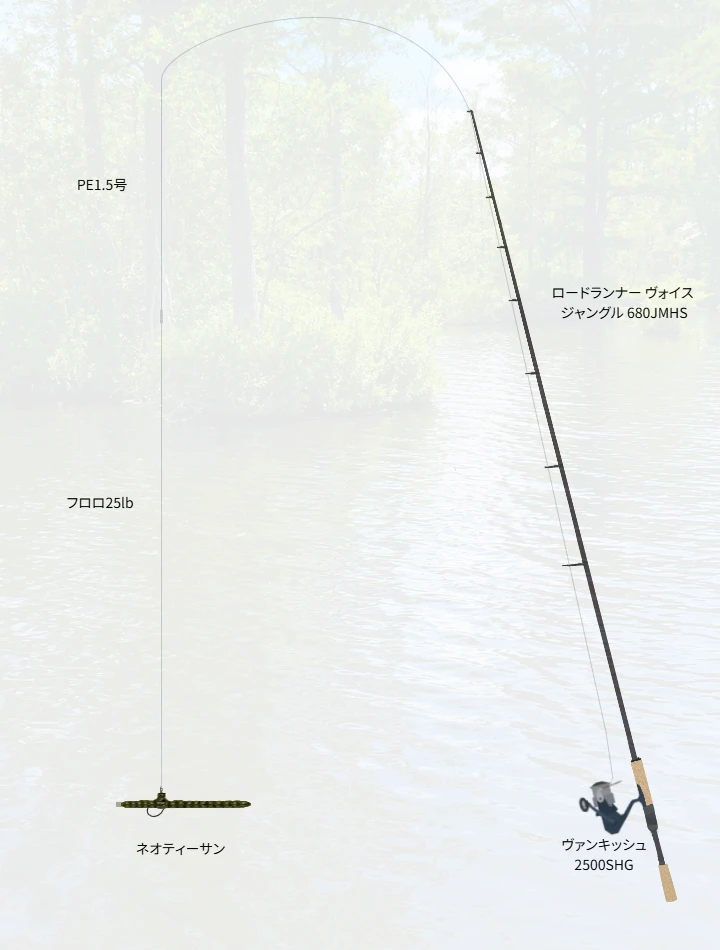 バス釣りに関するタックル、仕掛け図解